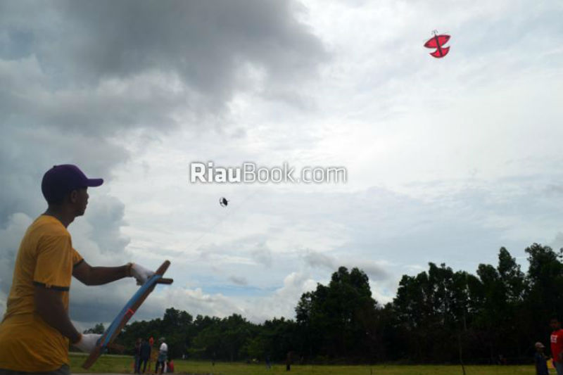 Eko Suharjo Maknai Festival Layangan Pelestarian Tradisi Rakyat