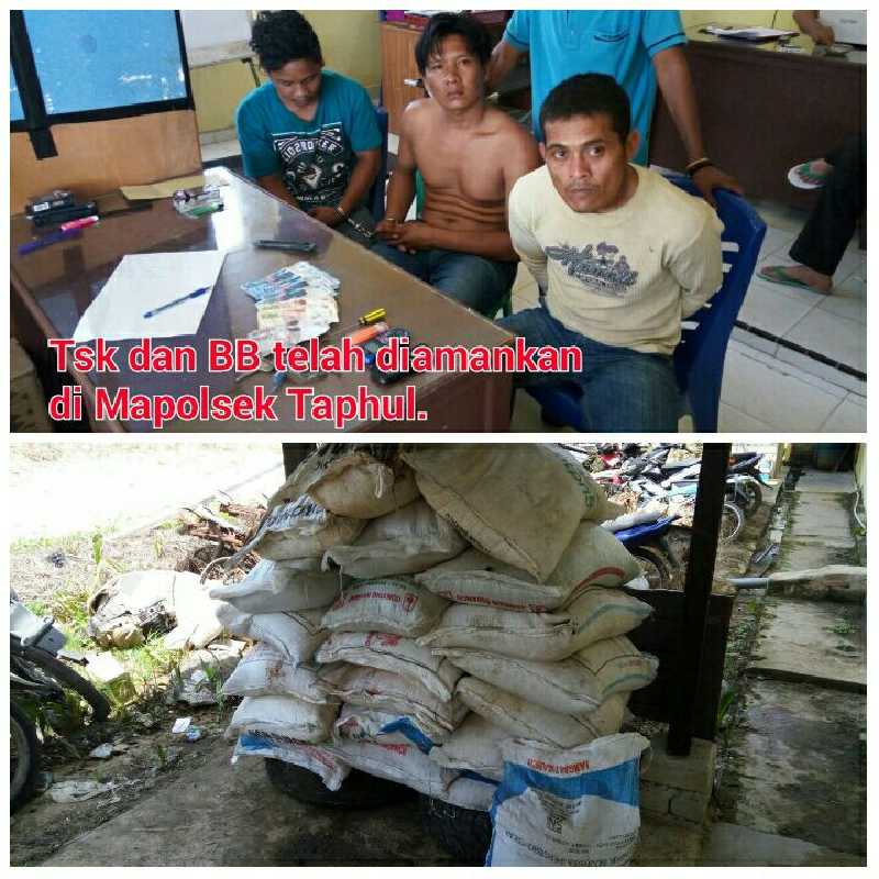 Enam Kali Lolos, Tiga Anggota Bajing Loncat di Kampar Akhirnya Tertangkap