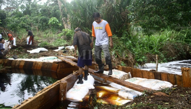 Harga Sagu Petani di Riau Rp 2000, Kapan Petani Sejahtera ?