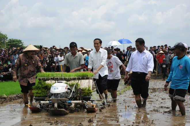 Jokowi Terusik, Siapa yang Narik?