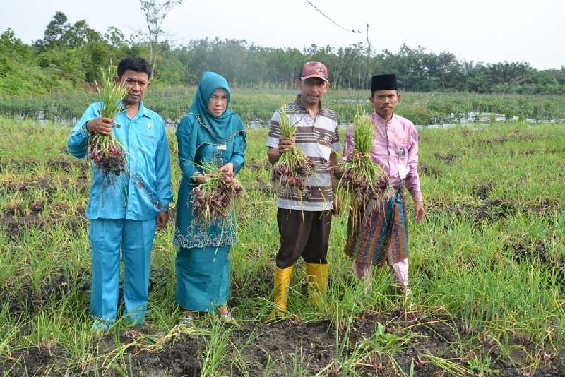 Kadistan: Tak Ada yang Tak Mungkin, Kampar Bisa Jadi Penghasil Bawang Terbesar
