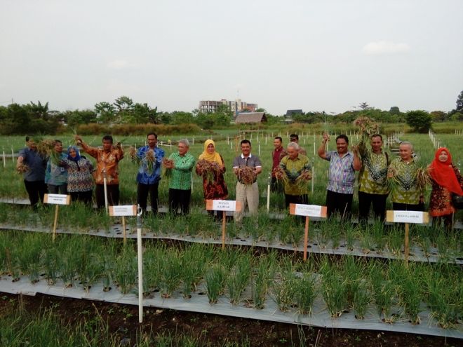 Kampar Sejahterakan Petani Agar Tak Beralih Profesi