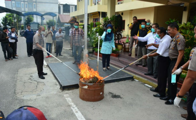 Kapolresta Pekanbaru Bakar 22Kg Daun Ganja dan Blender 700 Gram Sabu