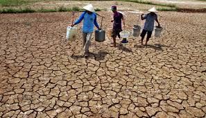 Kekeringan Landa Sebagian Besar Indonesia Akibat El Nino, Kecuali Riau