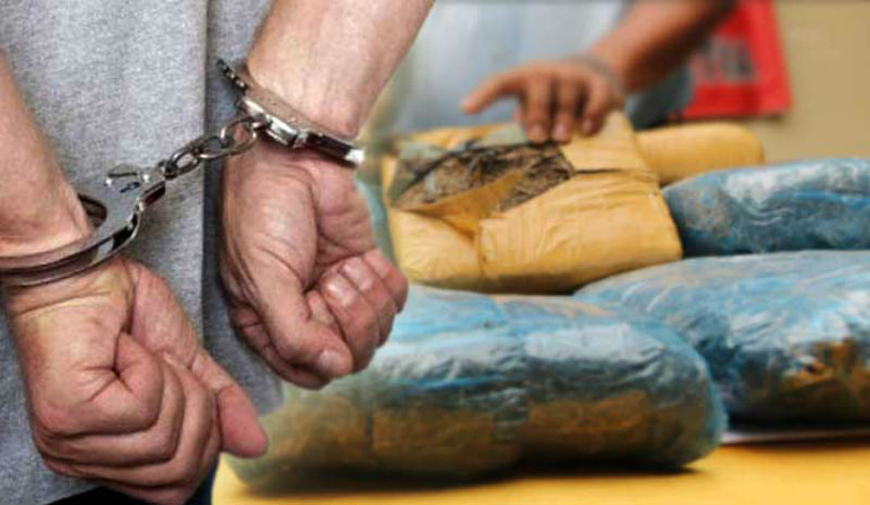 Kerja Sama TNI dan Polri Ungkap Sindikat 6 Kg Ganja dan 25 Gram Sabu