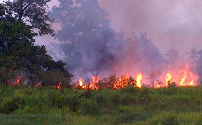 Kompolnas Didesak Evaluasi Kinerja Polda Riau