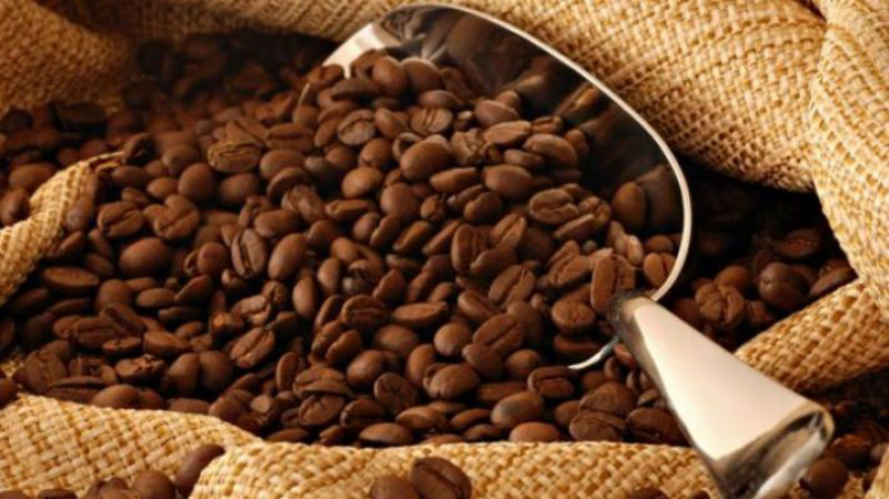 Kopi Liberika Menjadi Ikon Kabupaten Meranti, Banjir Menjadi Ancaman Petani
