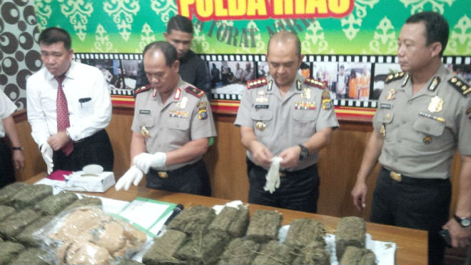 Kurir Narkoba Antar Provinsi Dibekuk, Polda Riau Sita 13 Kg Ganja