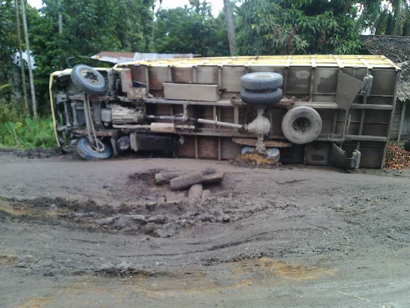 Lagi Asyik Melintasi Jalan, Faisal Kaget Melihat Mobil Bermuatan Sawit Baring Santai di Tepi Jalan