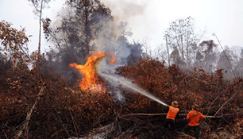 Muncul 19 Titik Panas di Sumatera, Riau Harus Waspada