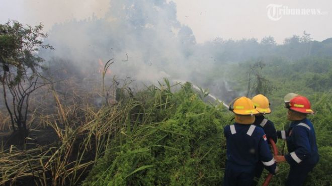 Pelalawan dan Rohil Penyumbang Terbanyak