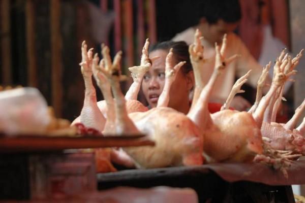 Penjualan Ayam Ras di Dumai Masih Stabil