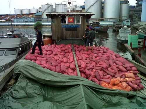 Polisi Gagalkan Penyelundupan 15 Ton Bawang Merah