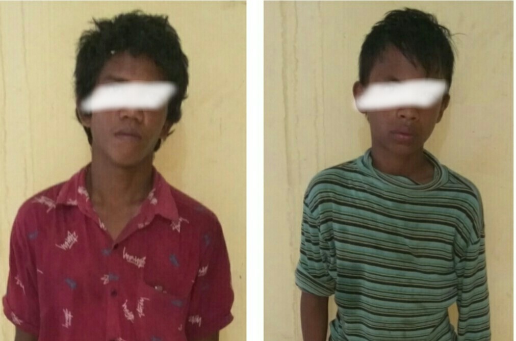 Polisi Meringkus 2 Pencuri Buah Kelapa Sawit Milik PT SAL di Inhu