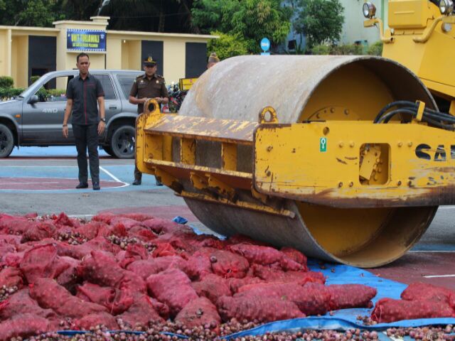 Polres Pelalawan Musnahkan 5,5 Ton Bawang Merah Seludupan Asal Malaysia