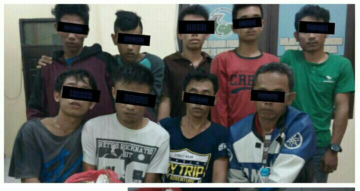 Polres Rohul Amankan 9 Penyalahguna Narkoba Jenis Ganja Kering, Salah Satunya PNS Dinas Kesehatan Rohul