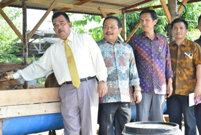 Potensi Realistis RTMPE dari Kepompong hingga Kupu-kupu