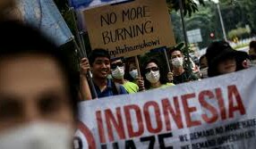 Presiden Minta Kaji Ulang SP3 Karhutla