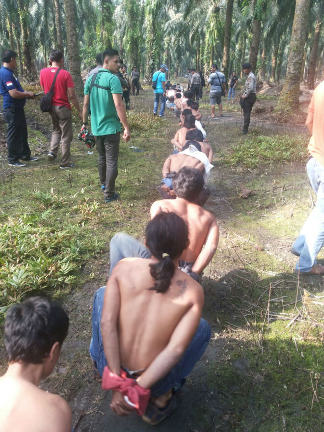 Ratusan Polisi Diterjunkan Amankan Lokasi, Bentrokan di Kampar Mulai Kondusif