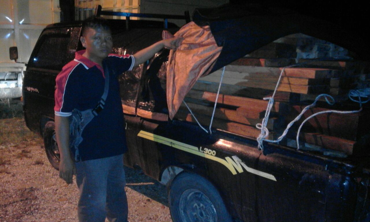 Polres Pelalawan Tangkap Pelaku Ilegal Loging