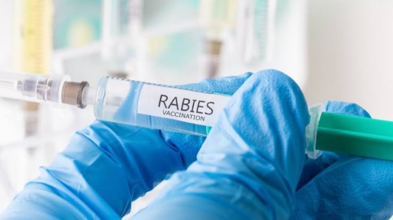 Setelah Vaksin Covid-19, Riau Juga Dapat Alokasi Vaksin Rabies