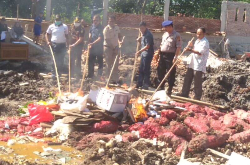 Tidak Hanya Bawang Merah, Daging Babi Asal Malaysia Ikut di Musnahkan di Dumai