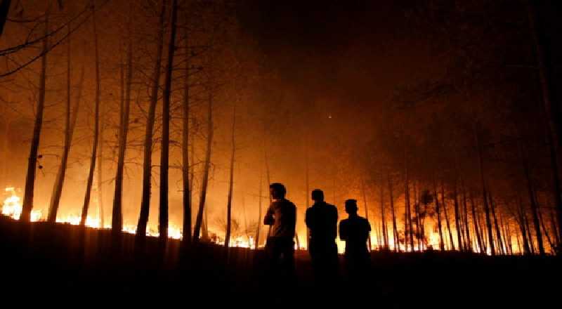 Titik Api Muncul, BPBD Bengkalis: Bukit Batu Masih Dipadamkan