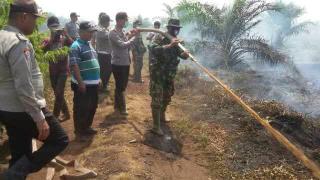 TNI Bengkalis Berjibaku Padamkan Api di Lahan 15 Ha