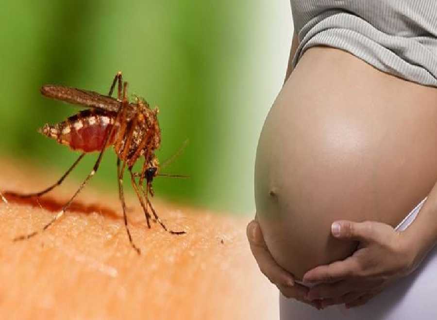 Virus Zika Menyebar di Singapura, Eh... ASITA Riau Malah Jamin Keamanan Wisata