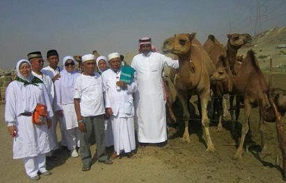 Waspada MERS, Jamaah Riau Dilarang Foto Bareng Unta