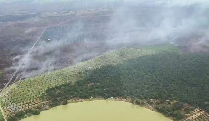 Kapolda Riau Pantau Kondisi Terkini Karhutla di Pelalawan dari Udara