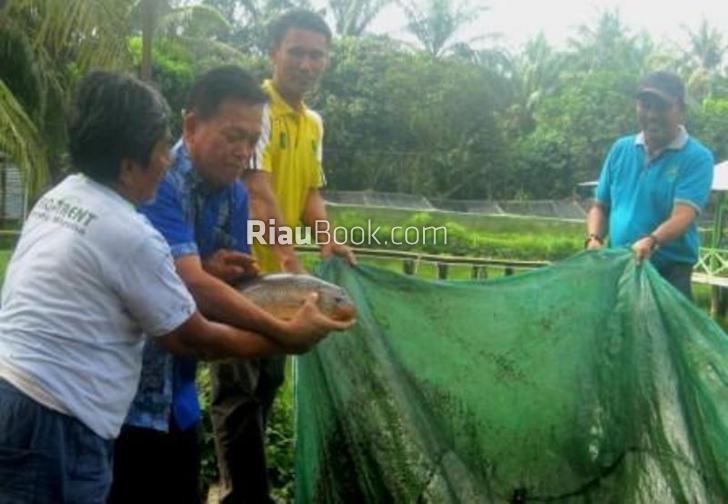 Petani Ikan di Siak Diberi Bantuan Dana Bergilir dari Program CSR Asian Agri