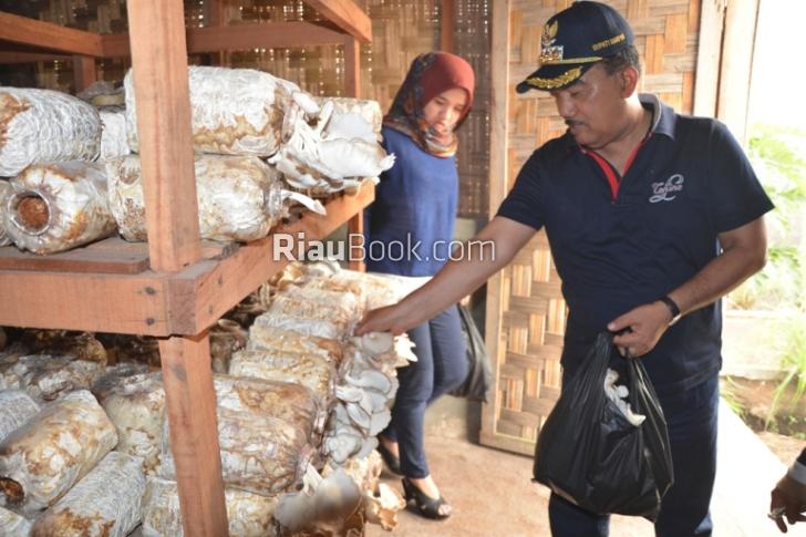 Belajar Buat Kaya Petani di Kampar, Jefry Noer: Juga Bisa Naik Haji