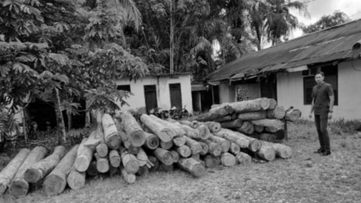 Puluhan Tual Kayu Ilegal Logging Disita Polisi di Kampar Kiri