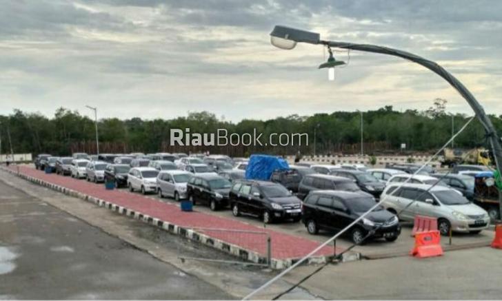 Layanan Penyeberangan Roro di Bengkalis Terganggu, Harga Ayam Potong Naik