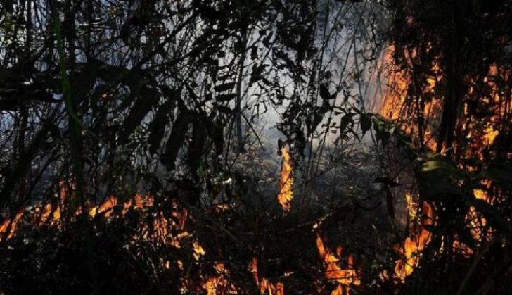 Lahan di Meranti Jangan Sampai Terbakar, Jika Terjadi Sulit Dipadamkan, Ini Penyebabnya