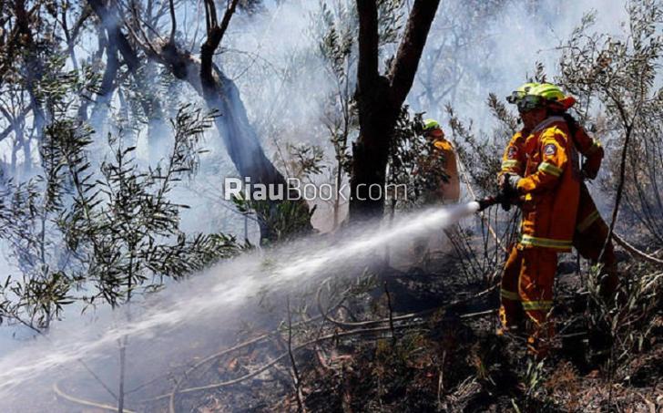 18 Hotspot Kepung Riau, Bengkalis Terbanyak