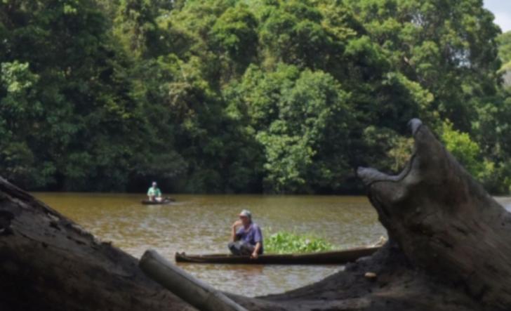Menjaga Hutan Gambut