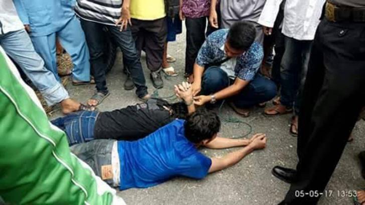 Waspada, Napi-napi Sialang Bungkuk Dikabarkan Sandera Anak-anak