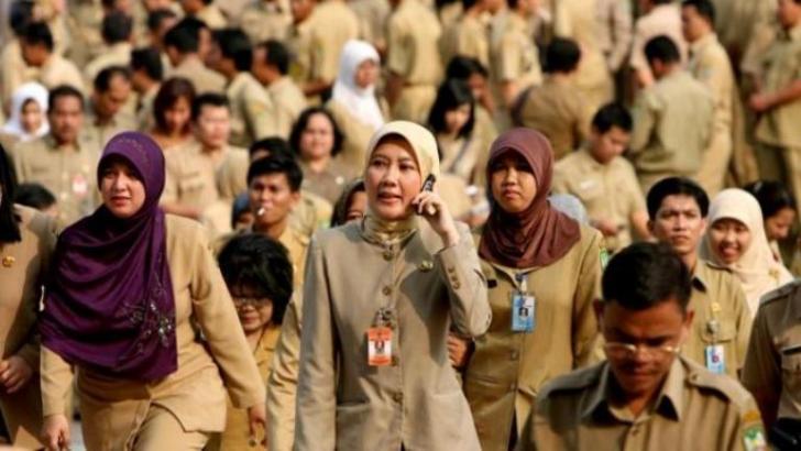 Cepat Simpan Berita Ini, Daftar Formasi CPNS 2016!