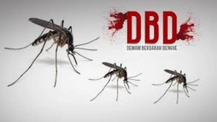 Lebih 1.500 Kasus DBD di Riau, 14 Orang Meninggal