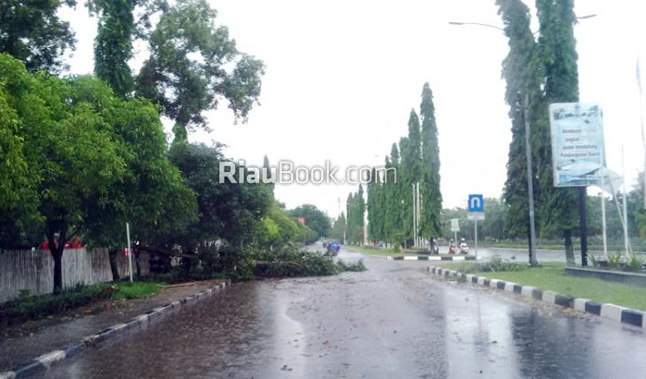 Pohon dan Papan Reklame Tumbang di Dumai Akibat Hujan Turun Disertai Angin Kencang