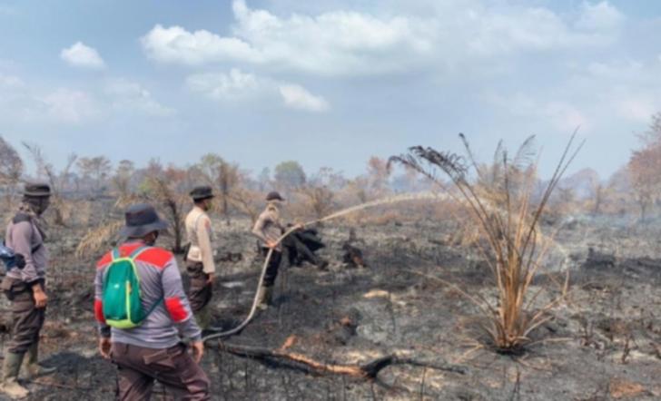 Diguyur Hujan, Kabupaten Siak Terpantau Nol Titik Api