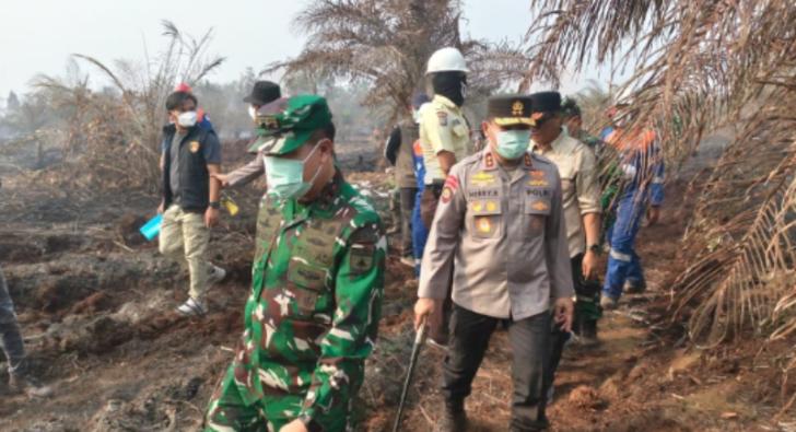 Pangdam Evaluasi Pemadaman Kebakaran Hutan dan Lahan di Siak