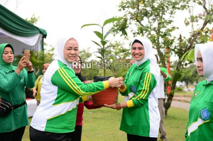 Selain Kurma, Masjid Raya Annur juga Ditanami Matoa