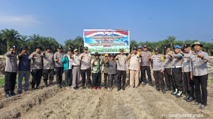 Polsek Kandis Dukung Swasembada Pangan, Kapolres Siak Hadiri Tanam Raya Jagung Serentak Kuartal I 2026