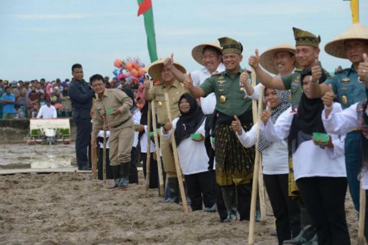 Gubri dan Panglima TNI Tanam Perdana Padi dan Jagung, Berharap Siak jadi Lumbung Pangan Riau