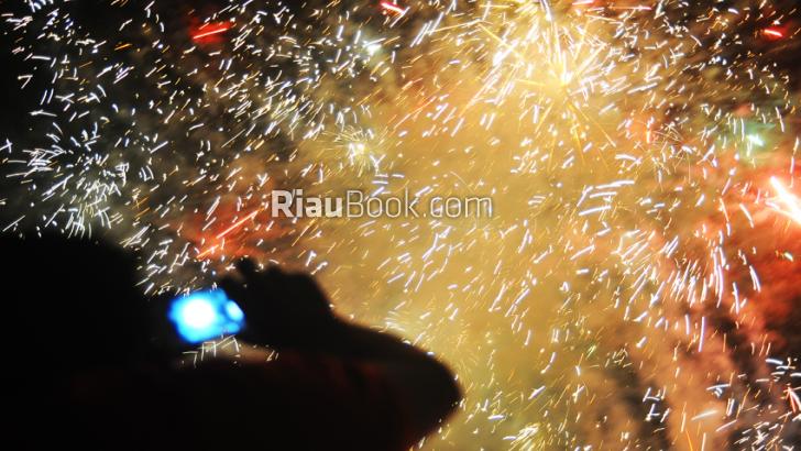 Foto Cerita: Perayaan Tahun Baru Imlek 2567 Shio Kera Emas
