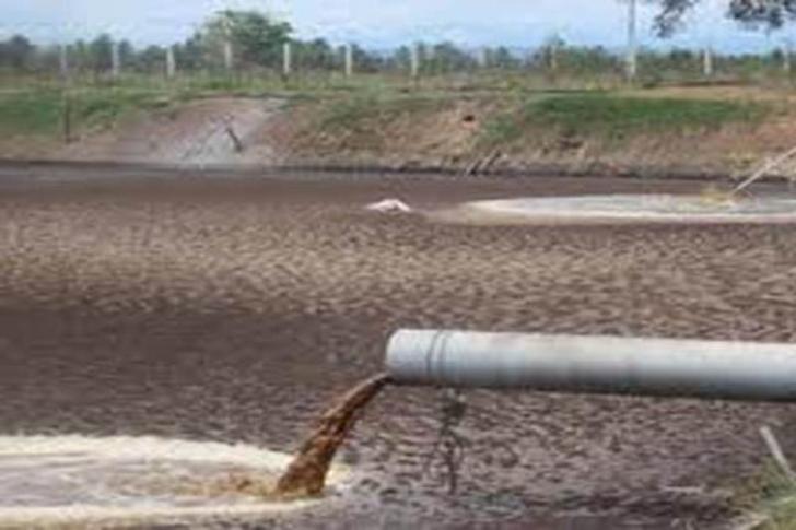 Media di Rohil Wajib Pantau Amdal Perusahaan