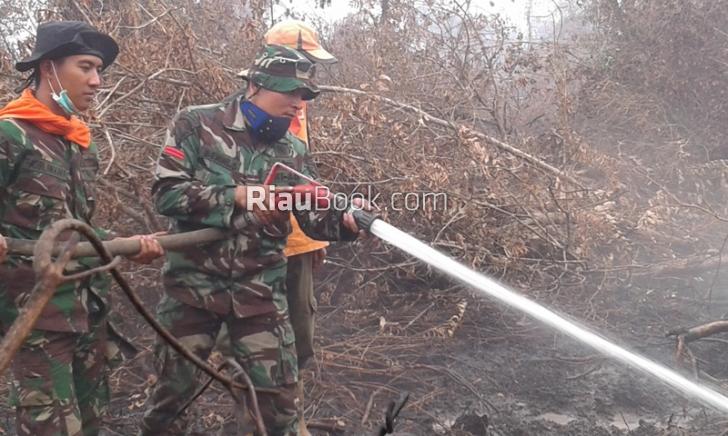 Ditangkap Pria Terduga Pembakar Lahan Gambut Kampar